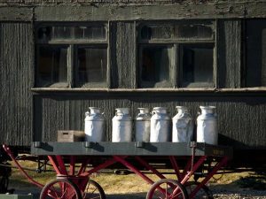 Local Mover Hacks to Make Your Relocation Stress-Free