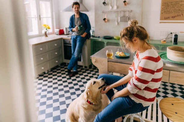 How Daily Structure Can Support a More Balanced Lifestyle