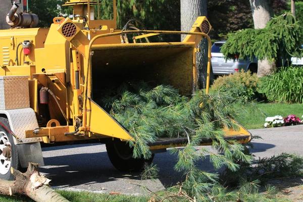 Why DIY Tree Cutting Is Risky Compared to Tree Removal Service