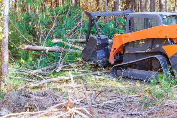 Quality Tree Service in Springfield IL for Safer Landscapes